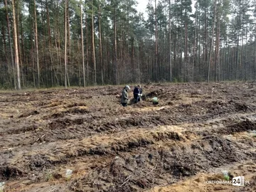 Poprzednie zdjęcie