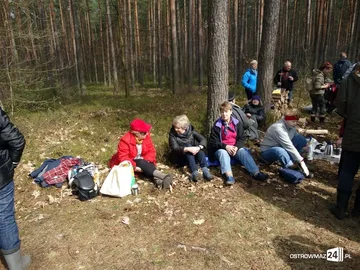 Poprzednie zdjęcie
