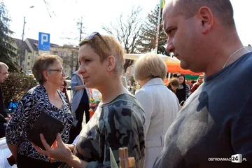 Poprzednie zdjęcie