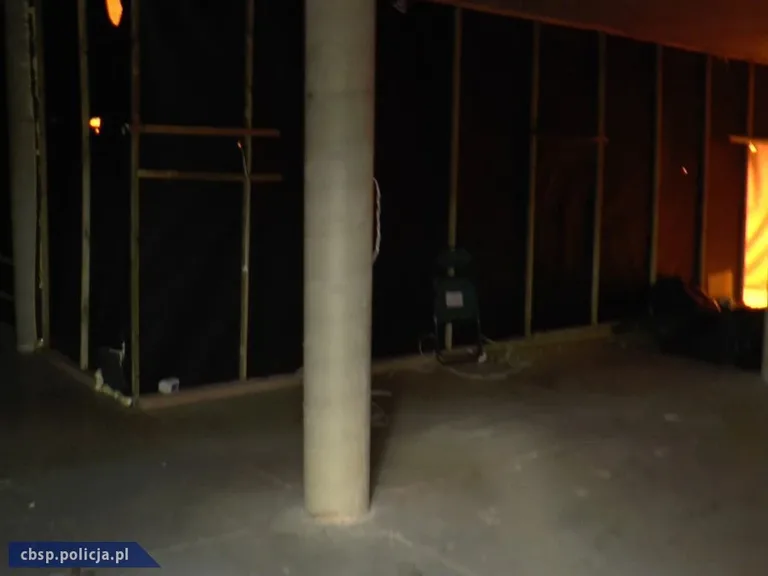 Plantacja marihuany w Ostrowi Mazowieckiej zlikwidowana przez CBŚP (zdjęcia, wideo)