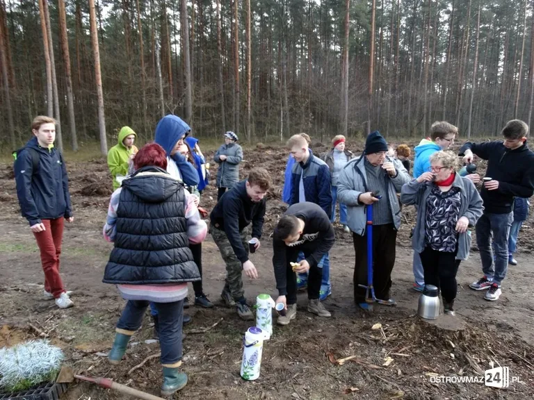 Posadzili osiem tysięcy drzew (zdjęcia)