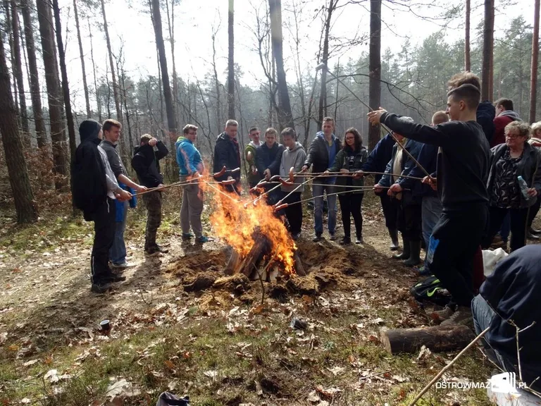 Posadzili osiem tysięcy drzew (zdjęcia)