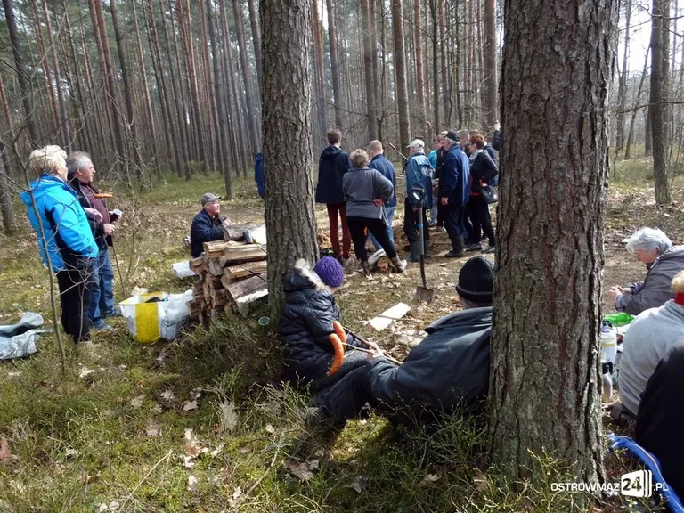 Posadzili osiem tysięcy drzew (zdjęcia)