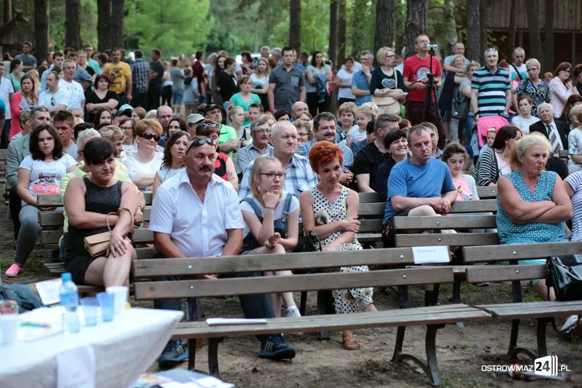 Power Boy gwiazdą przeglądu zespołów weselnych (zdjęcia, wideo)
