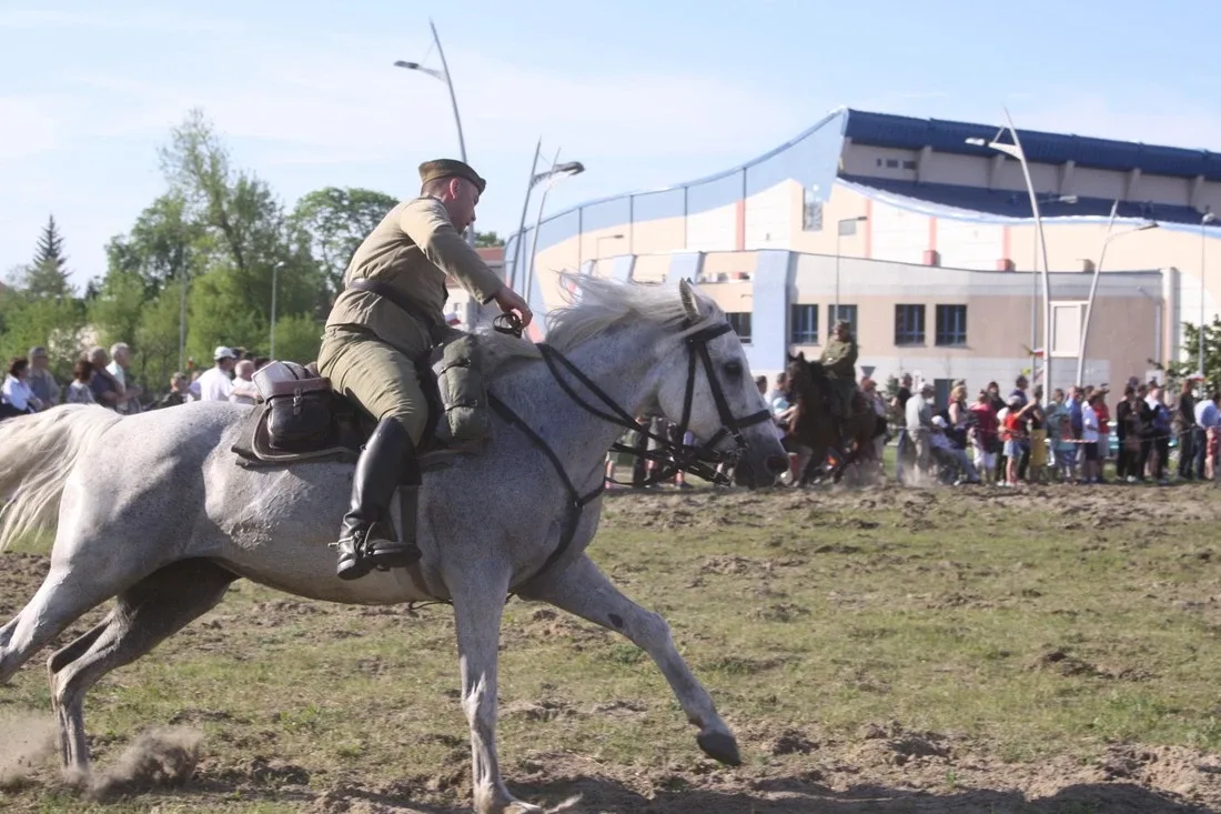 Pokazy jeździeckie kawalerzystów (zdjęcia)