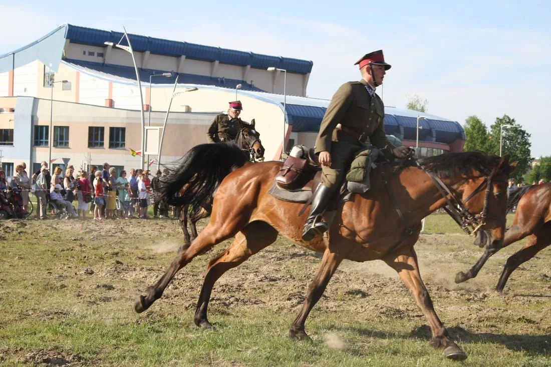 Pokazy jeździeckie kawalerzystów (zdjęcia)