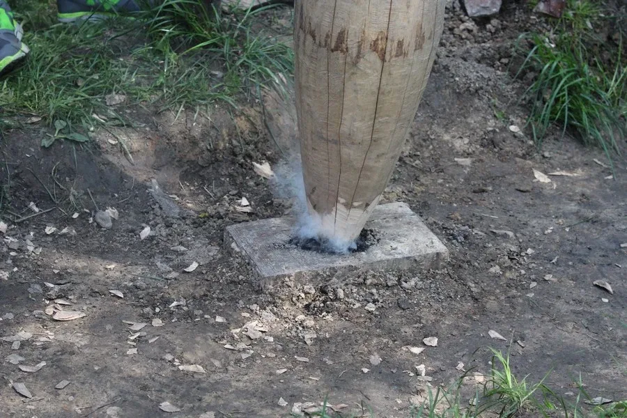 Wycieczka SP1 w Góry Świętokrzystkie (zdjęcia)