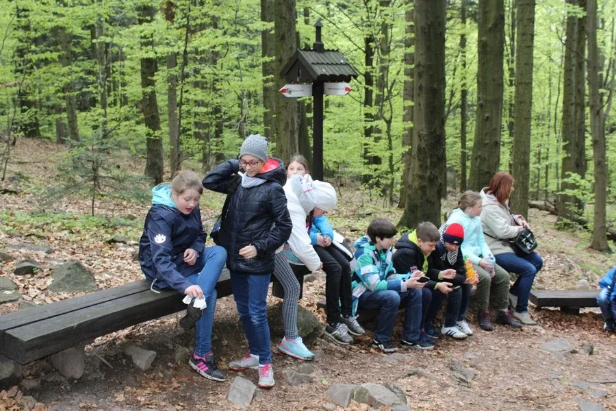 Wycieczka SP1 w Góry Świętokrzystkie (zdjęcia)