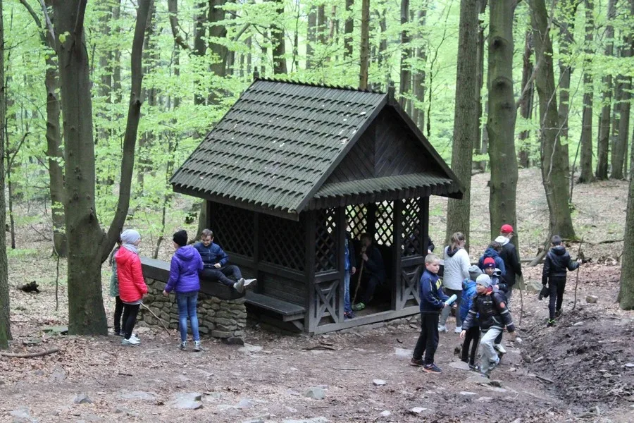 Wycieczka SP1 w Góry Świętokrzystkie (zdjęcia)