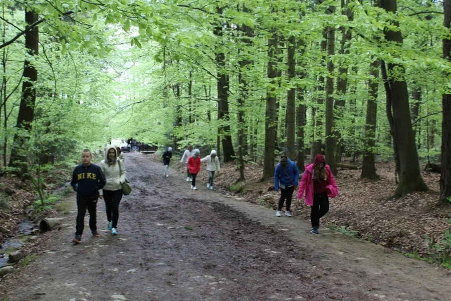 Wycieczka SP1 w Góry Świętokrzystkie (zdjęcia)