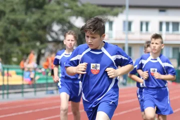 Poprzednie zdjęcie