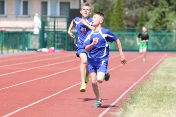 Następne zdjęcie