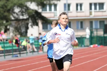 Następne zdjęcie