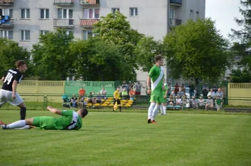 Następne zdjęcie