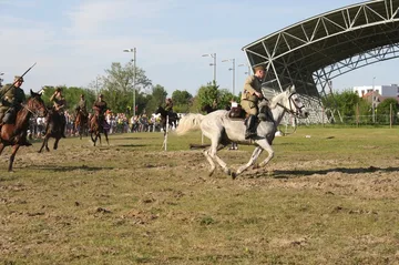 Poprzednie zdjęcie