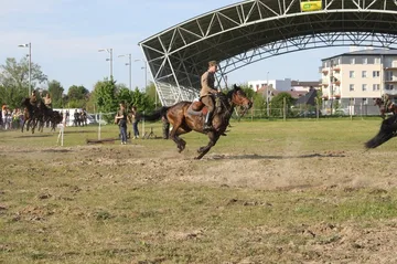Następne zdjęcie
