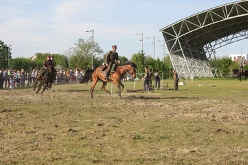 Pokazy jeździeckie kawalerzystów (zdjęcia)