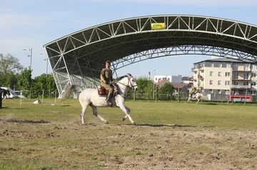 Następne zdjęcie