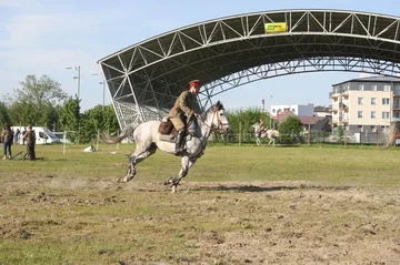 Poprzednie zdjęcie