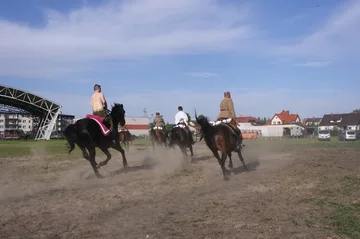 Następne zdjęcie