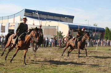 Następne zdjęcie