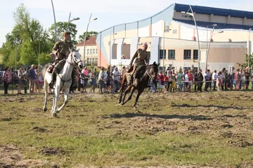 Następne zdjęcie
