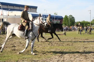 Następne zdjęcie