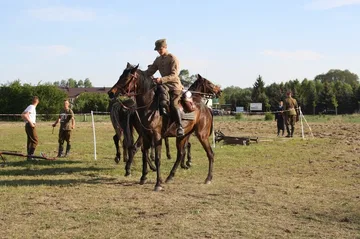 Poprzednie zdjęcie
