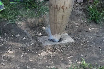 Poprzednie zdjęcie