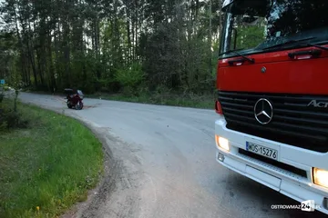 Poprzednie zdjęcie