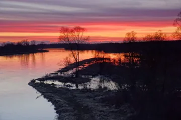 Biebrza i Bug w obiektywie Mariusza Kuleszy (zdjęcia)