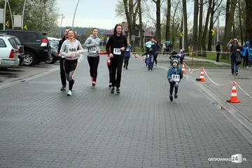 Poprzednie zdjęcie