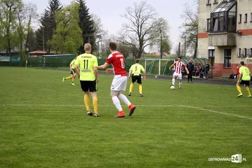 Następne zdjęcie
