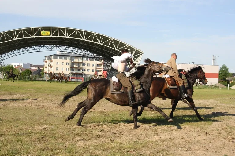 Pokazy jeździeckie kawalerzystów (zdjęcia)