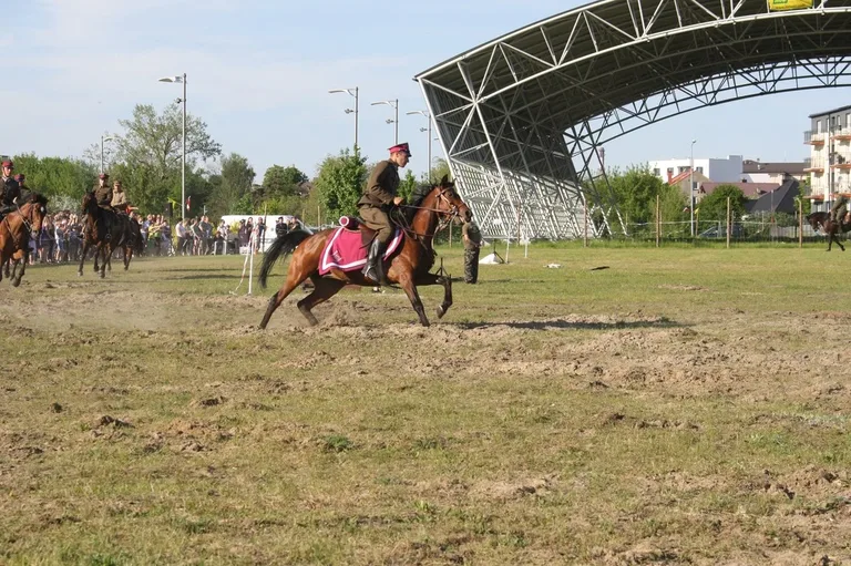 Pokazy jeździeckie kawalerzystów (zdjęcia)