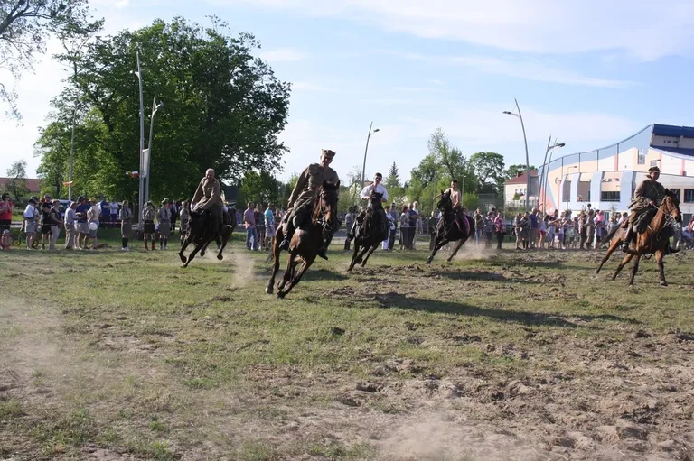 Pokazy jeździeckie kawalerzystów (zdjęcia)