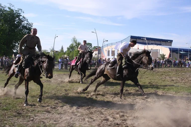 Pokazy jeździeckie kawalerzystów (zdjęcia)