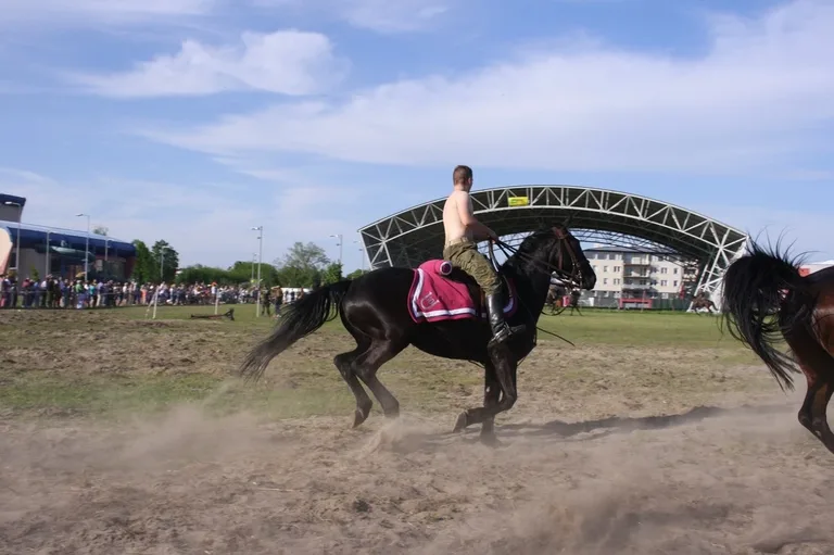 Pokazy jeździeckie kawalerzystów (zdjęcia)