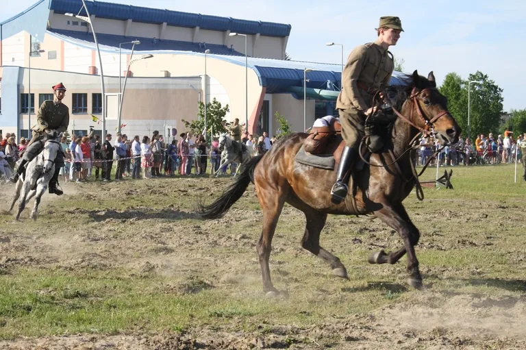 Pokazy jeździeckie kawalerzystów (zdjęcia)