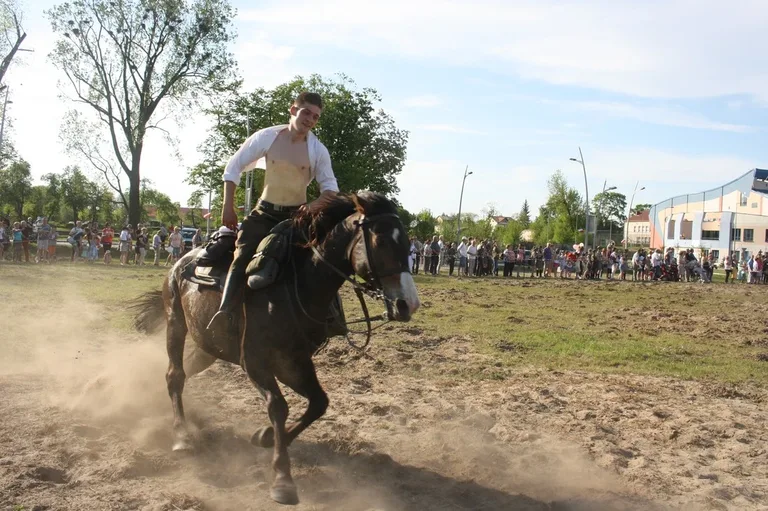 Pokazy jeździeckie kawalerzystów (zdjęcia)