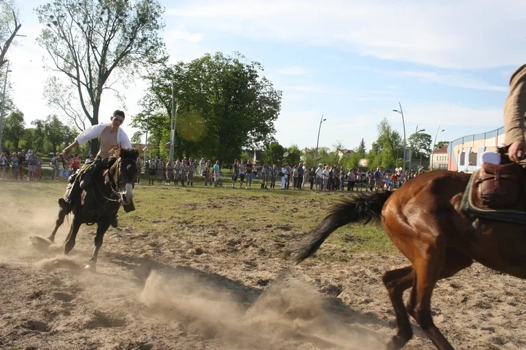 Pokazy jeździeckie kawalerzystów (zdjęcia)