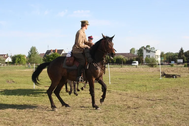 Pokazy jeździeckie kawalerzystów (zdjęcia)