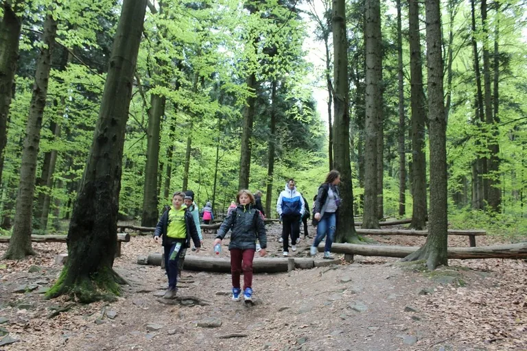 Wycieczka SP1 w Góry Świętokrzystkie (zdjęcia)