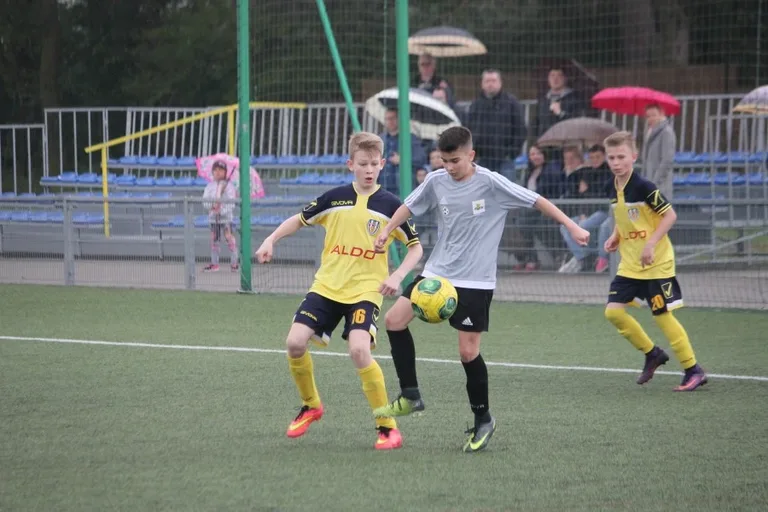 Falkowski katem Korony (zdjęcia, wideo)