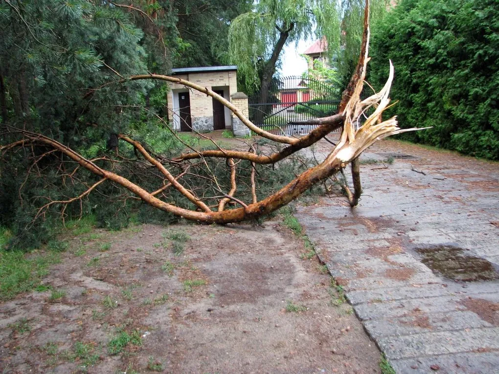 Skutki nawałnic nad powiatem ostrowskim (zdjęcia)