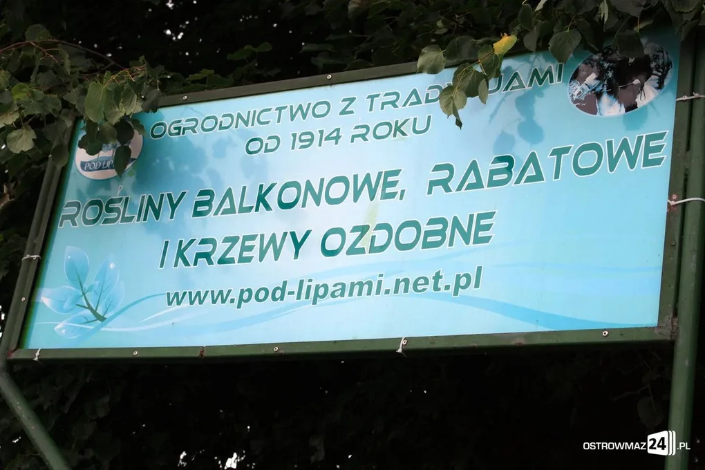 Pierwsze urodziny "Skwerku obfitości" (zdjęcia)