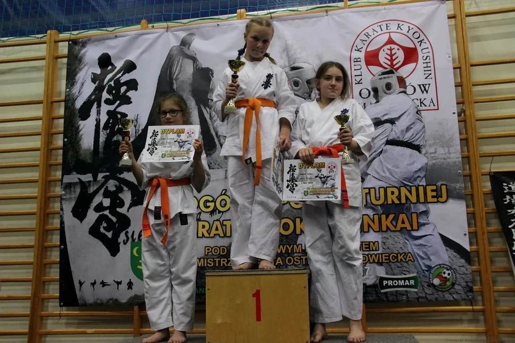 XIII Ogólnopolski Turniej Karate Kyokushinkai (zdjęcia)