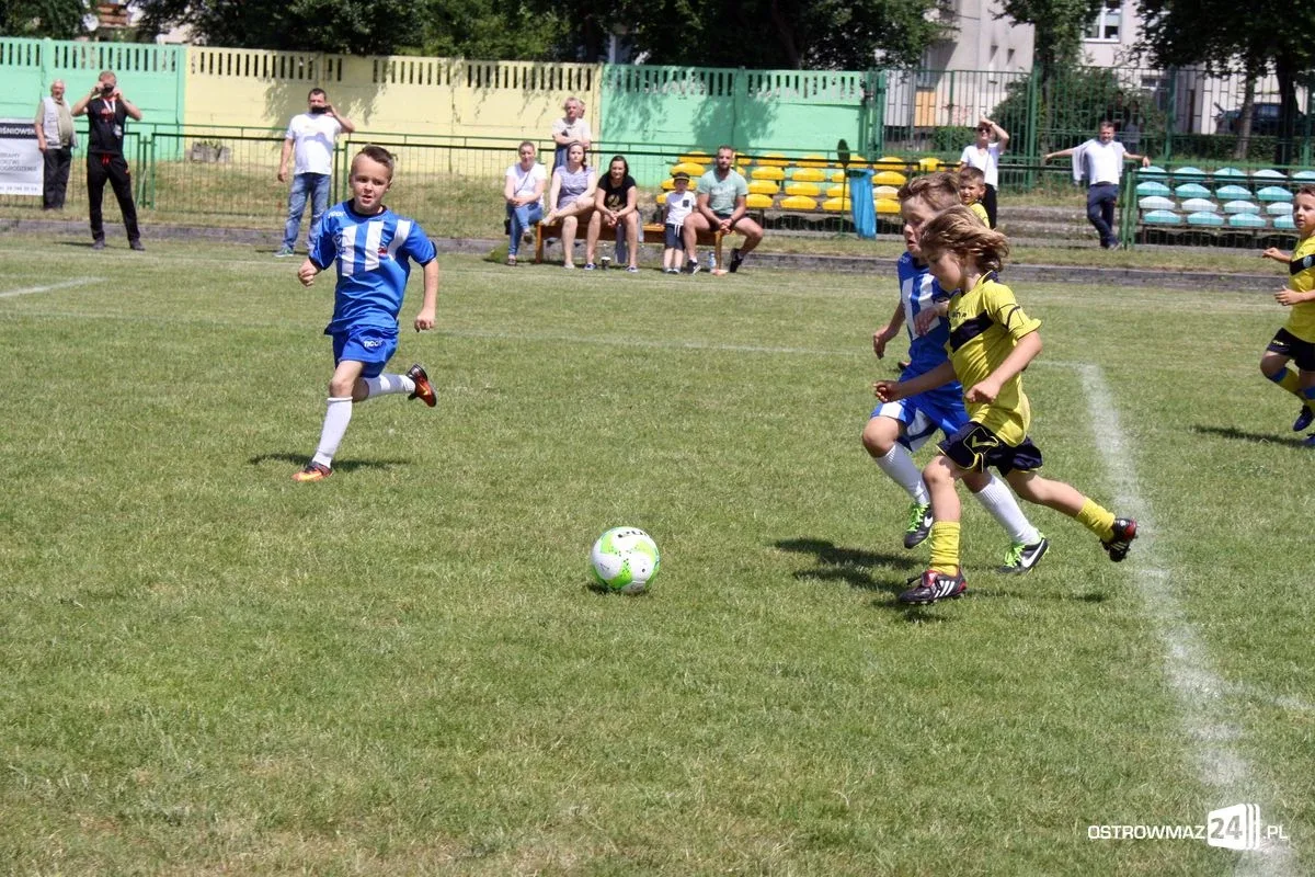 UKS Cup 2017 za nami (zdjęcia)