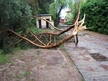 Skutki nawałnic nad powiatem ostrowskim (zdjęcia)