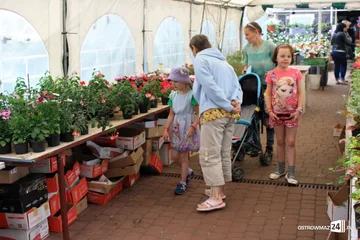 Poprzednie zdjęcie